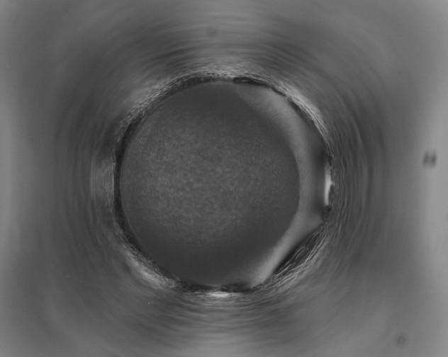 X0000095550493200712141558