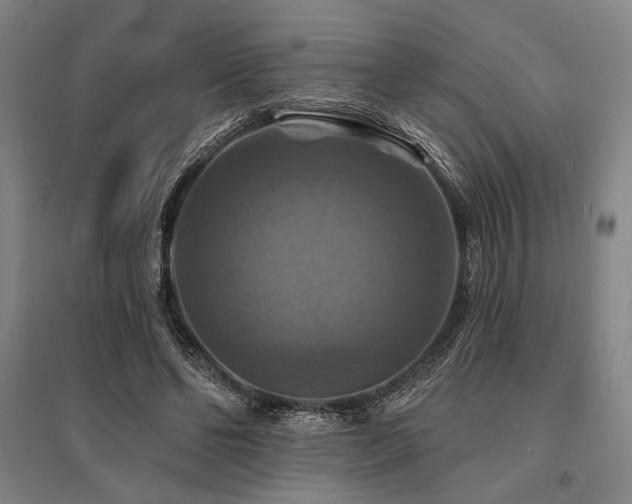 X0000095550494200712141558