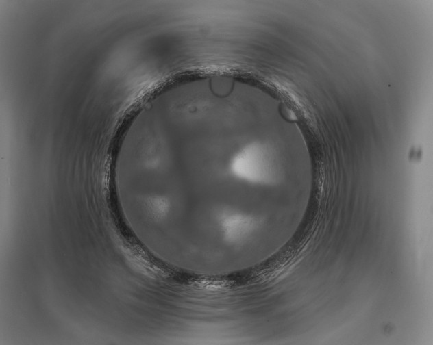 X0000095550495200712141558