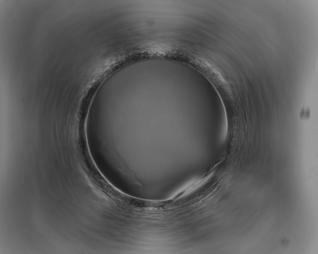 X0000095550496200712141558