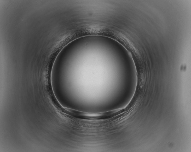 X0000095550497200712141558