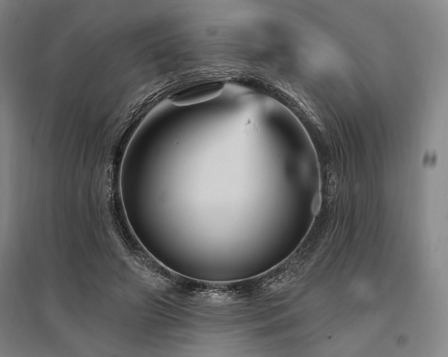 X0000095550498200712141558