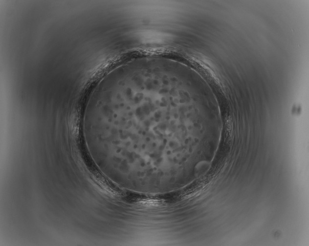 X0000095550499200712141558