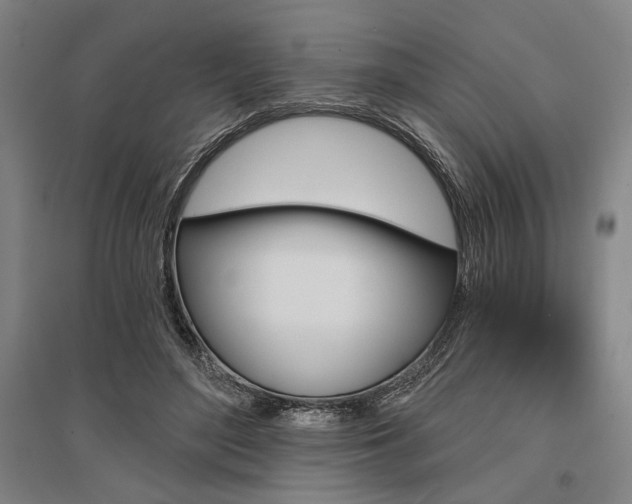 X0000095550500200712141558