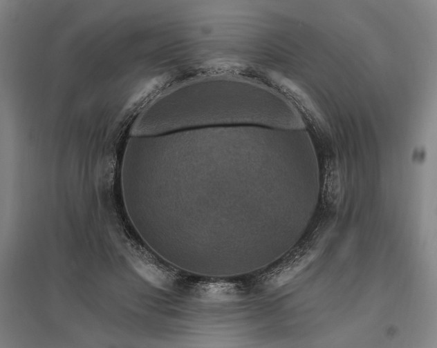 X0000095550501200712141558