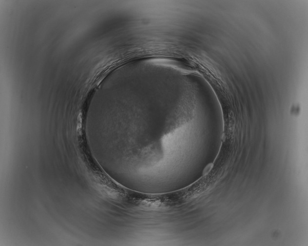 X0000095550502200712141558