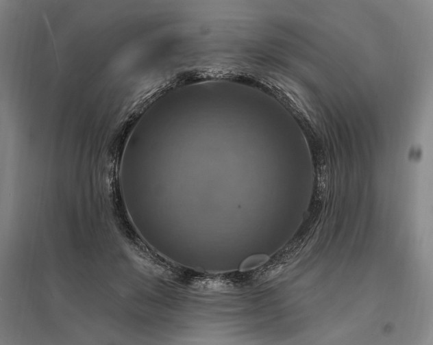 X0000095550503200712141558