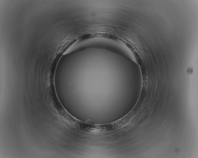 X0000095550504200712141558