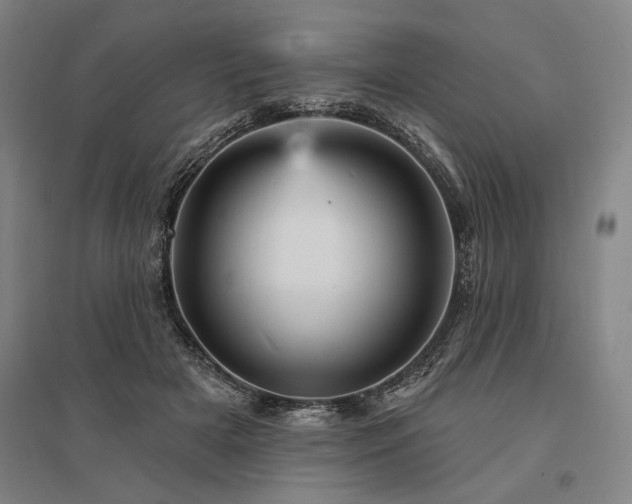 X0000095550505200712141558