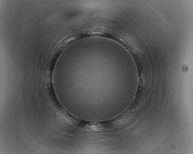 X0000095550506200712141558