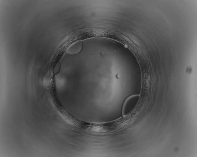 X0000095550507200712141558