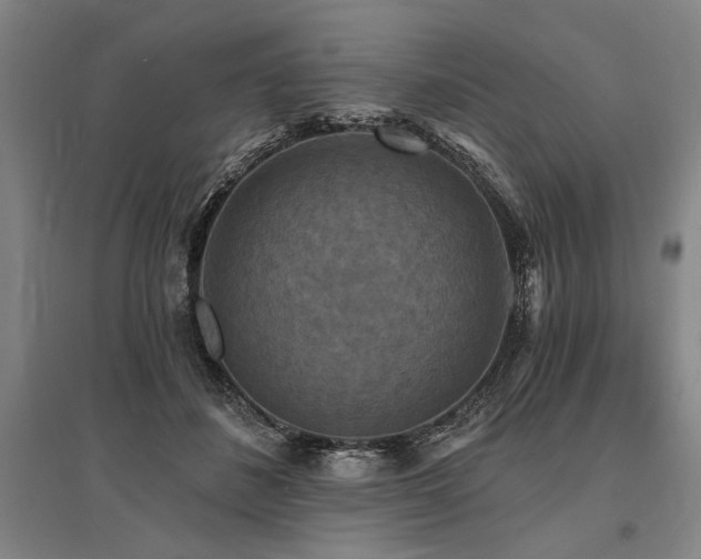 X0000095550508200712141558