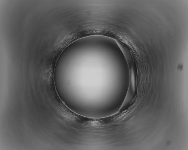 X0000095550509200712141558