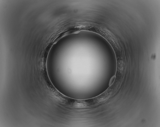 X0000095550510200712141558