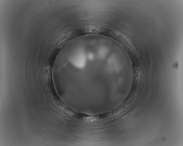 X0000095550511200712141558