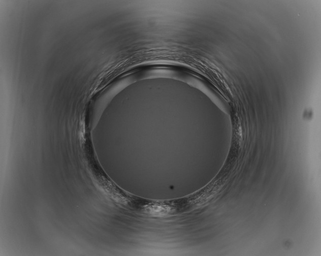 X0000095550512200712141558