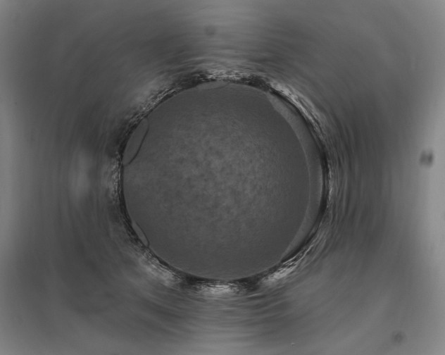 X0000095550513200712141558