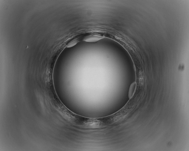 X0000095550514200712141558