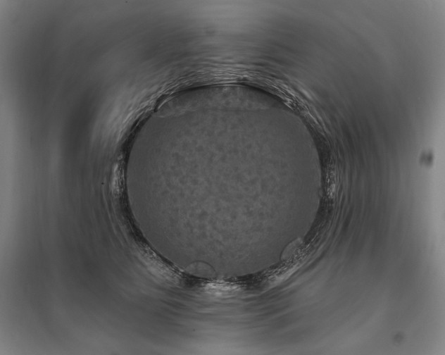 X0000095550515200712141558