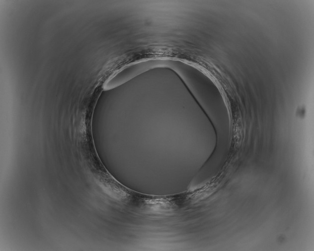 X0000095550516200712141558