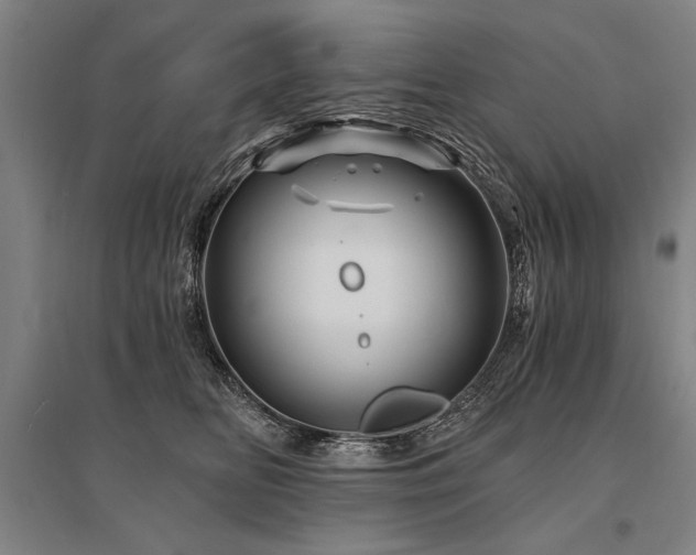 X0000095550518200712141558