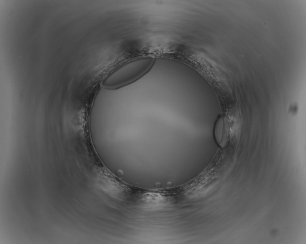 X0000095550519200712141558