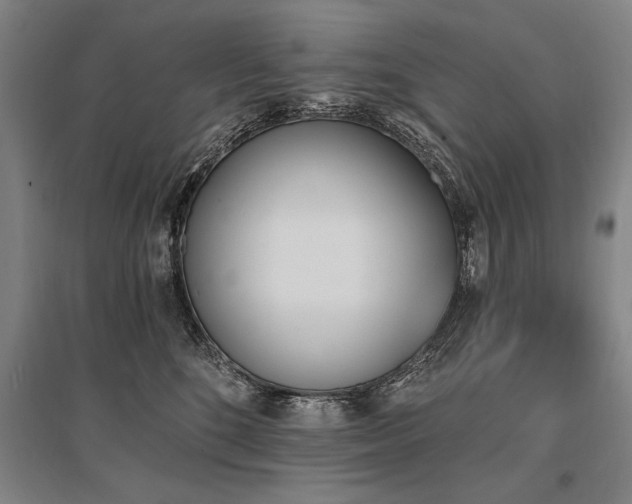 X0000095550520200712141558