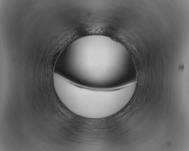 X0000095550521200712141558