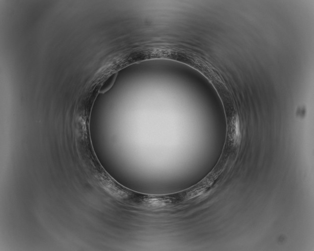 X0000095550522200712141558