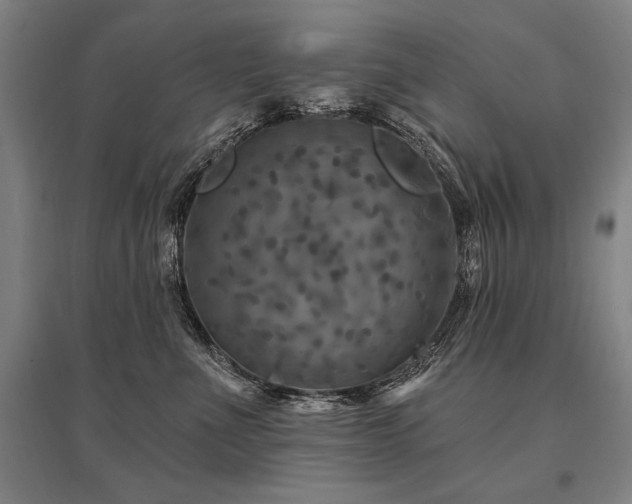 X0000095550523200712141558