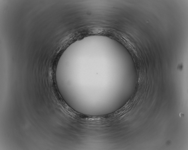 X0000095550524200712141558