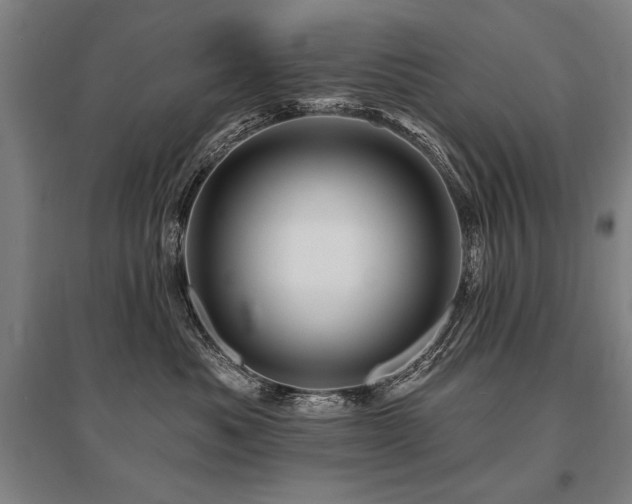 X0000095550525200712141558