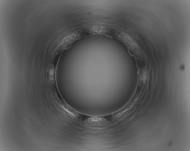 X0000095550526200712141558