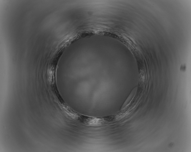 X0000095550527200712141558