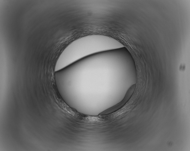 X0000095550528200712141558