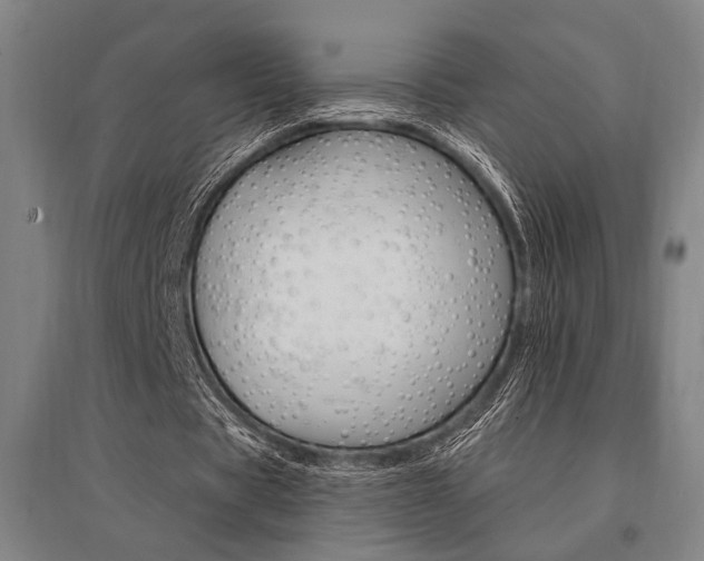 X0000095550529200712141557