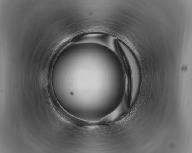 X0000095550530200712141557