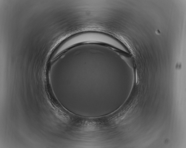 X0000095550531200712141557