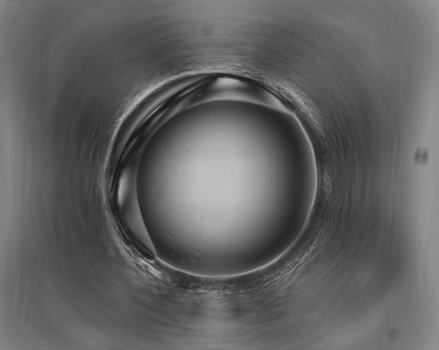 X0000095550532200712141557