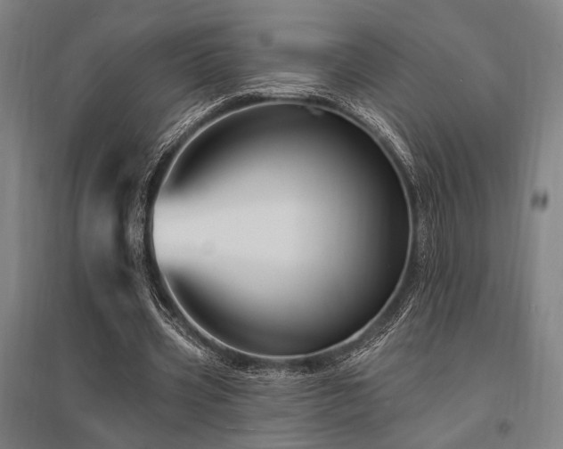 X0000095550533200712141557