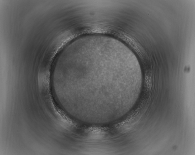 X0000095550534200712141557