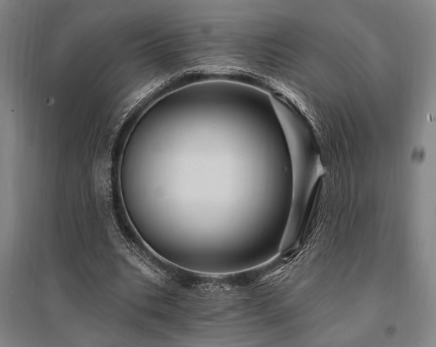 X0000095550535200712141557