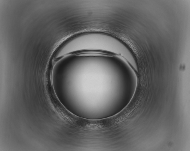 X0000095550536200712141557