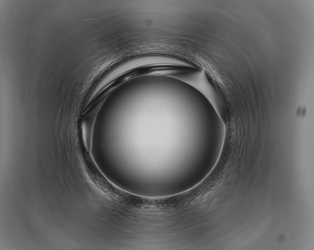 X0000095550538200712141557