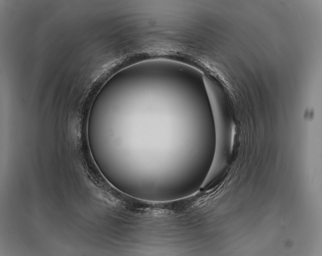 X0000095550539200712141557