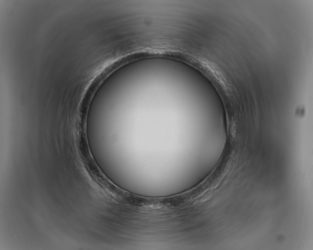 X0000095550540200712141557