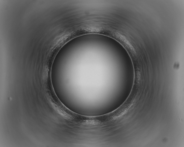 X0000095550541200712141557