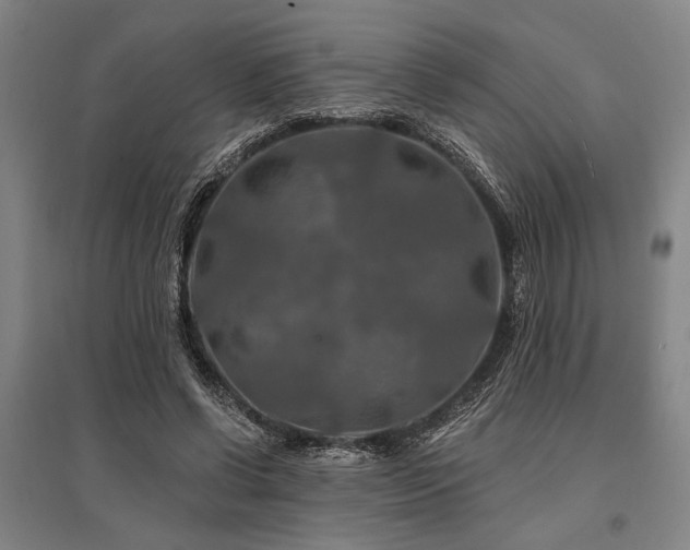 X0000095550542200712141557