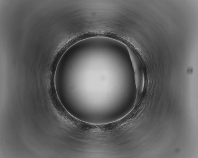 X0000095550544200712141557