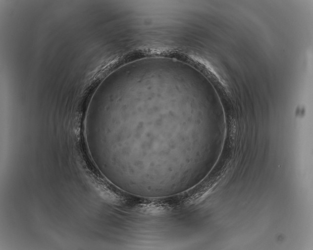 X0000095550545200712141557